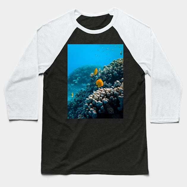 Ocean Life Baseball T-Shirt by NewburyBoutique